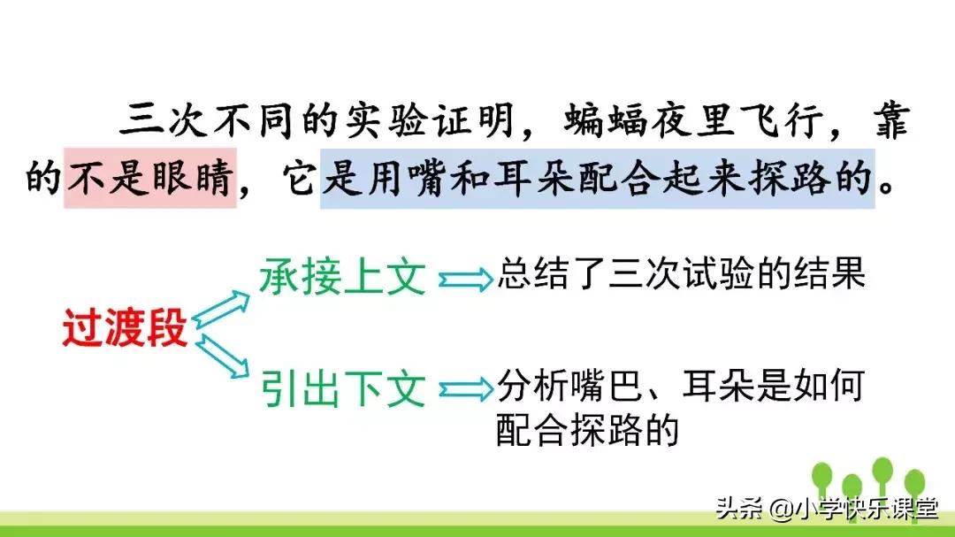 四年级上册语文蝙蝠和雷达课后题,部编版四年级上册语文蝙蝠和雷达