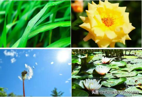 北京大学高颜值学霸,中国十大风景最美的大学