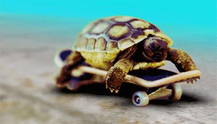 割包皮有第二根半价吗,割包皮有几率失误吗