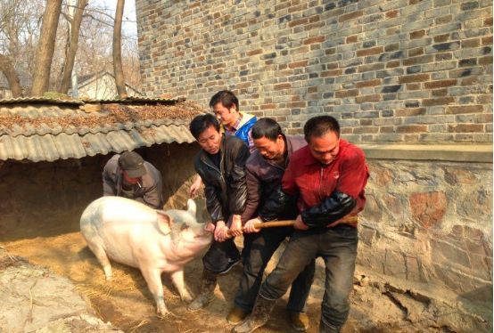 回忆童年8090过年情景,80后回忆童年过年真实视频