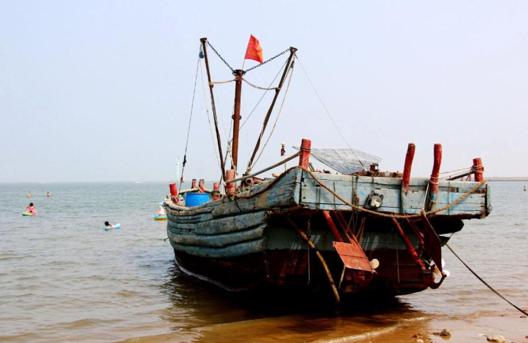 沙爽的活着写作背景,沙爽作品