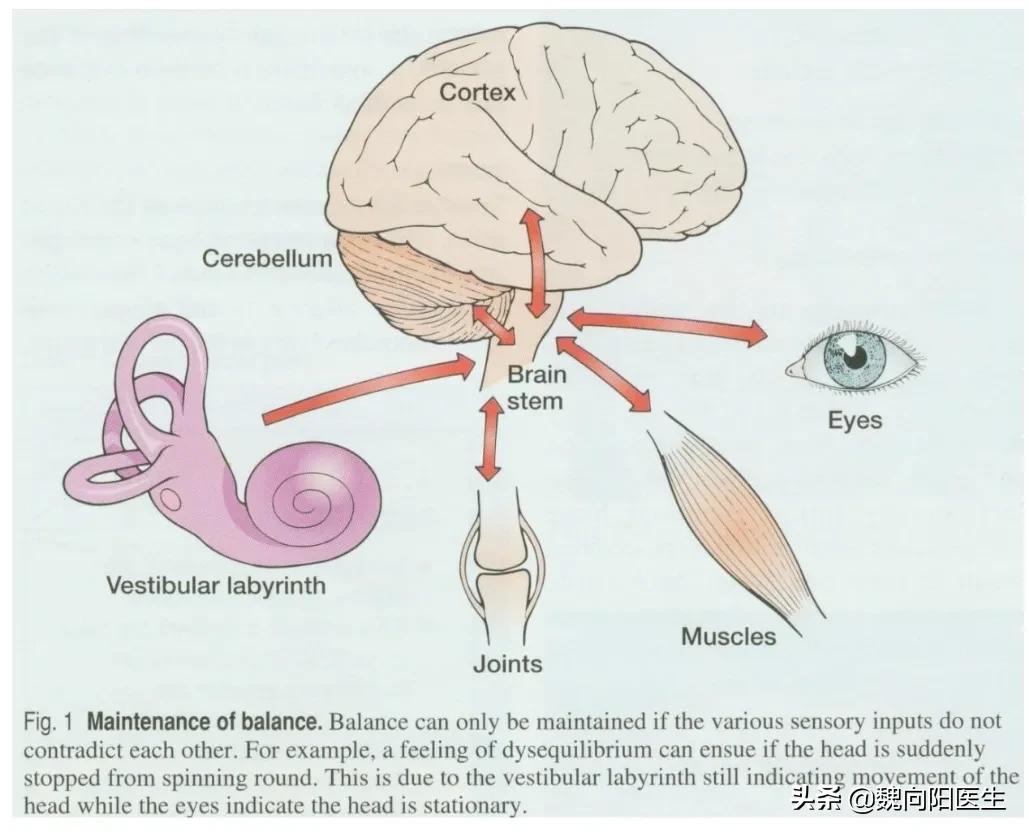 脑供血不够头晕输液用什么药,头晕眩晕需要输液吗