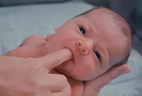 怎样催眠小猫咪,如何催眠一只小猫咪