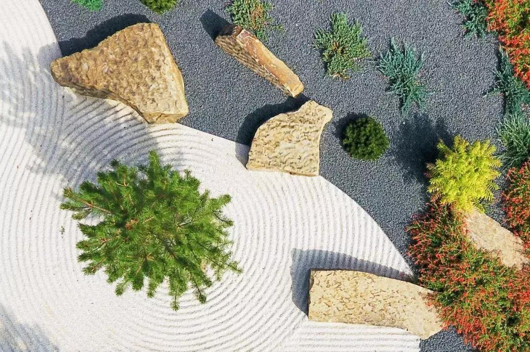 涟漪是哪篇课文,涟漪像什么