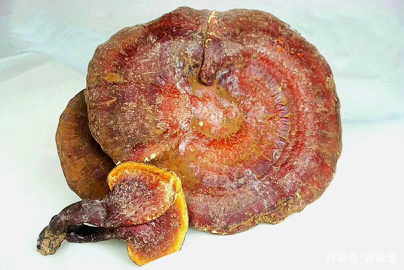 灵芝是药食两用的品种吗,菌类野生灵芝功效