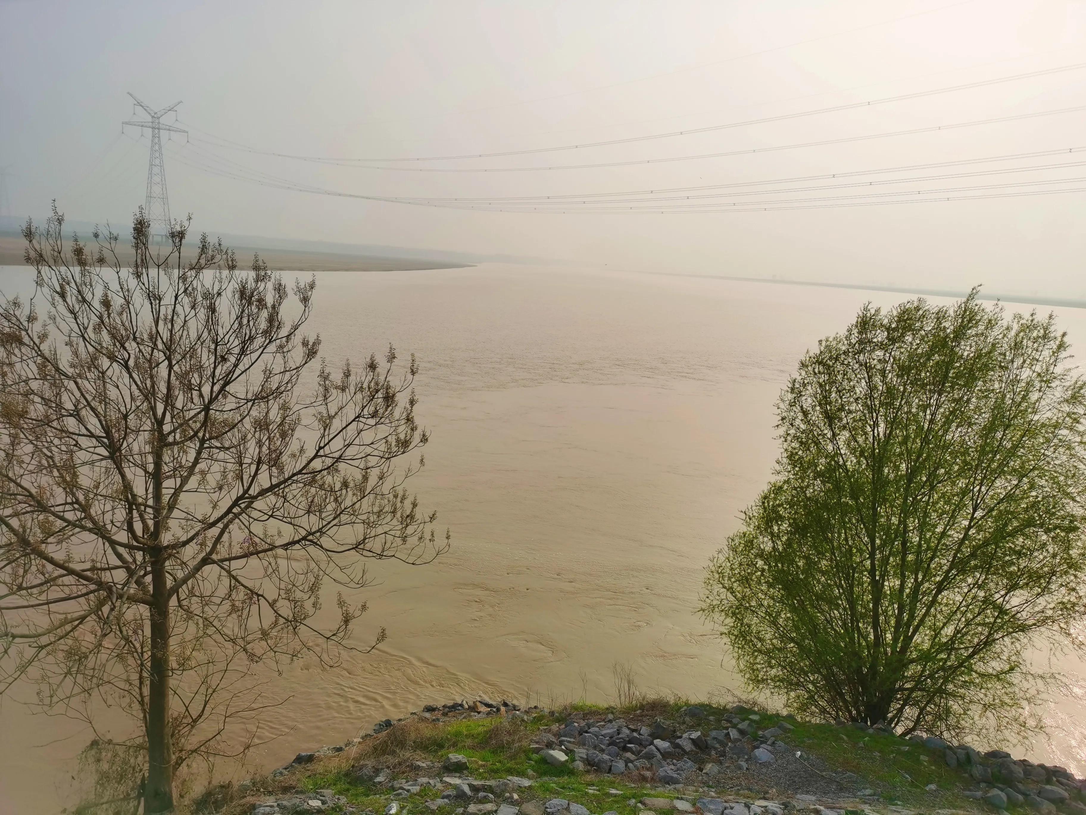 封丘三月杏花开全集,封丘县三月杏花开