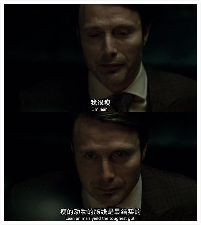 汉尼拔影版简介,汉尼拔原型是哪部电影