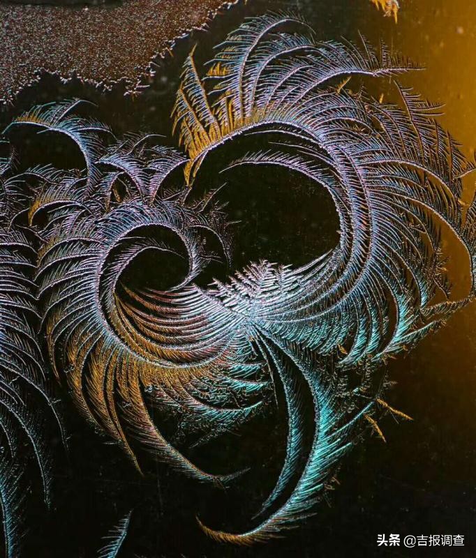 清晨玻璃窗上结满了霜花,唐古拉玻璃窗上的霜花