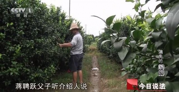 【法治思考】广西多名新娘离奇失踪，背后真相令人愤怒