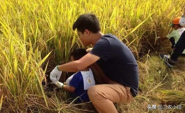 农村创业好项目投资少见效快,农村无需投资的创业项目