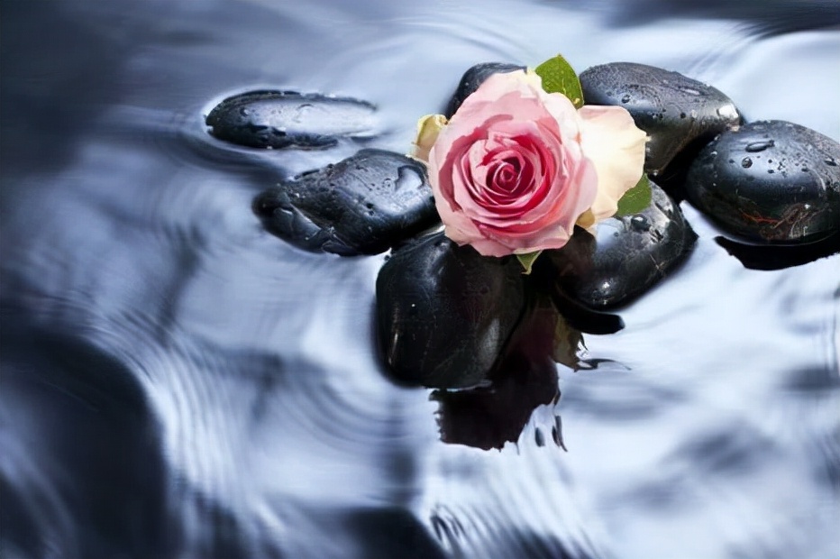 遭遇背叛后你最应该做的事,假如遇到背叛你要怎样处理