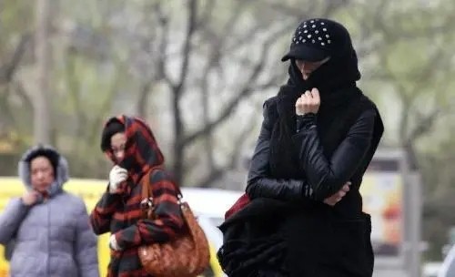 毛衣起球教你一招毛衣焕然一新,毛衣起球怎么办教你一招快速解决