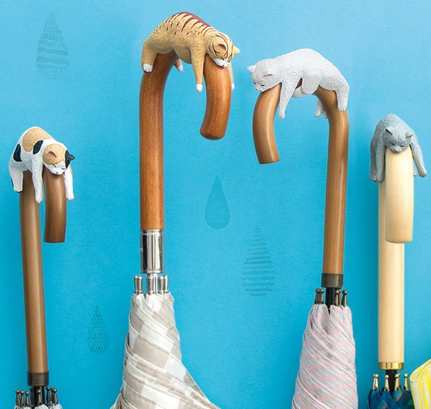 日本人又来骗猫奴们的钱啦！但我心甘情愿掏钱了！