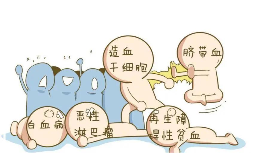 白血病骨髓移植电视剧,有关于白血病移植的电影