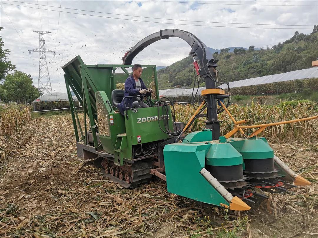 我为农民群众办实事活动方案,秸秆回收再利用变草为宝促增收