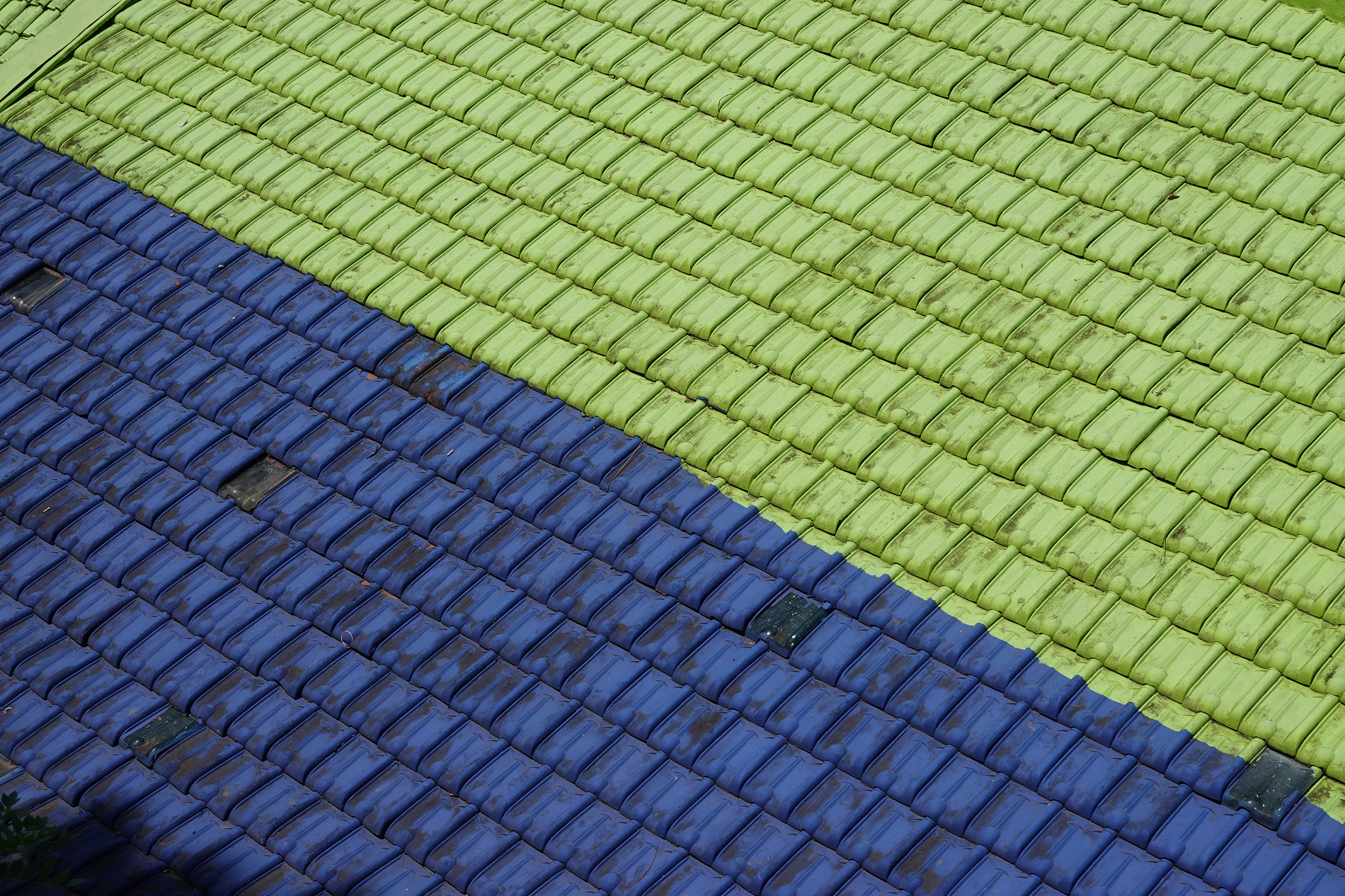 璐皯绐熸渶缇庡僵铏规潙,鍗板凹褰╄櫣鏉戣传姘戠獰