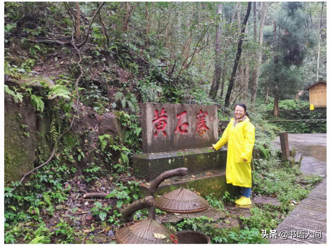 在山上被猴子追,张家界黄石寨的猴子抢东西视频