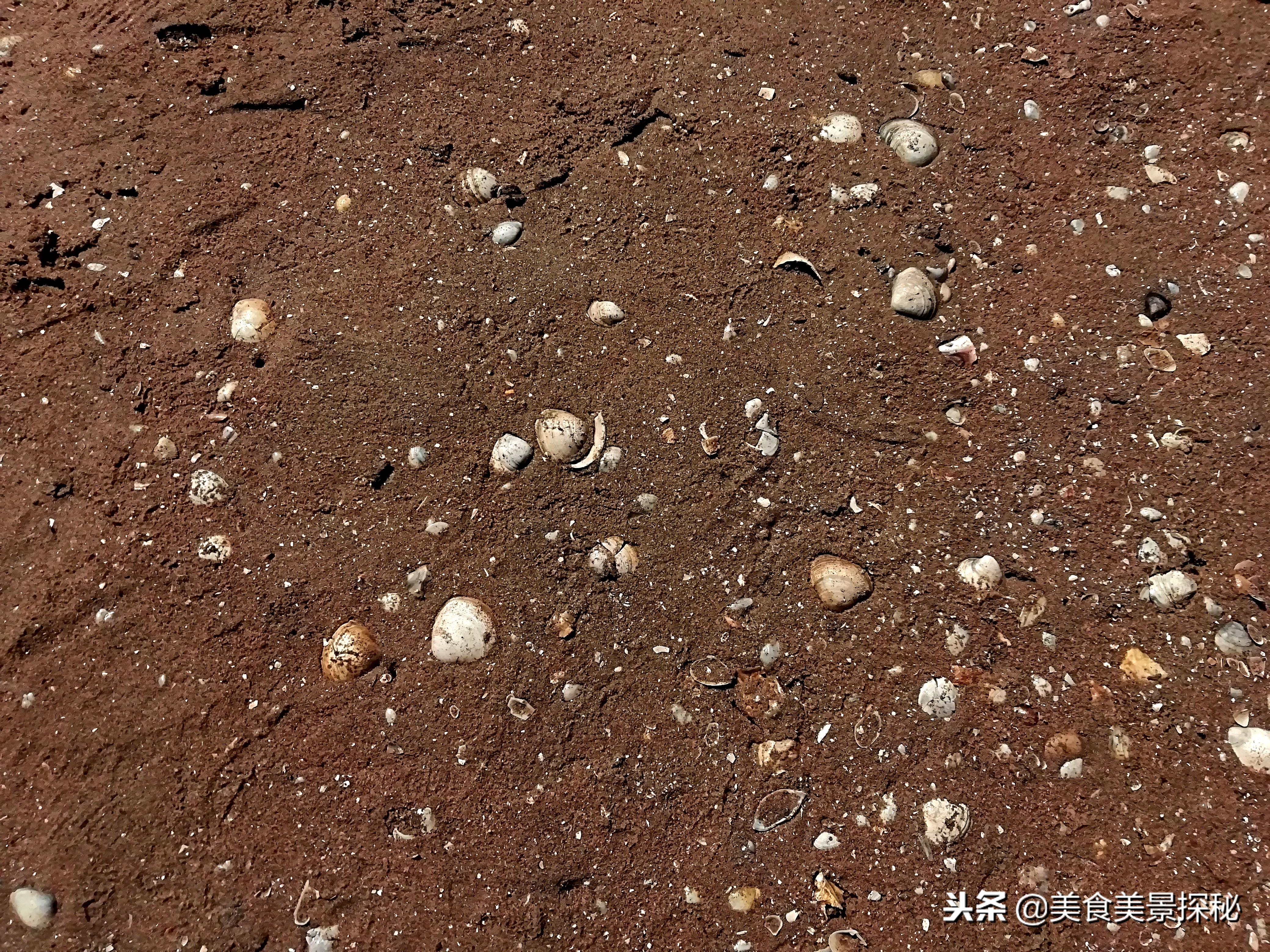 天津游玩攻略东疆湾,天津东疆湾旅游攻略