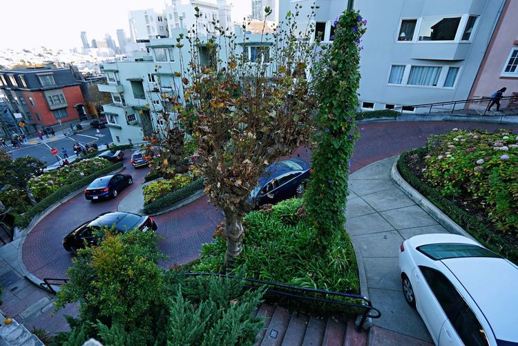 美国德州西部自由行,美国西海岸可以自由航行么