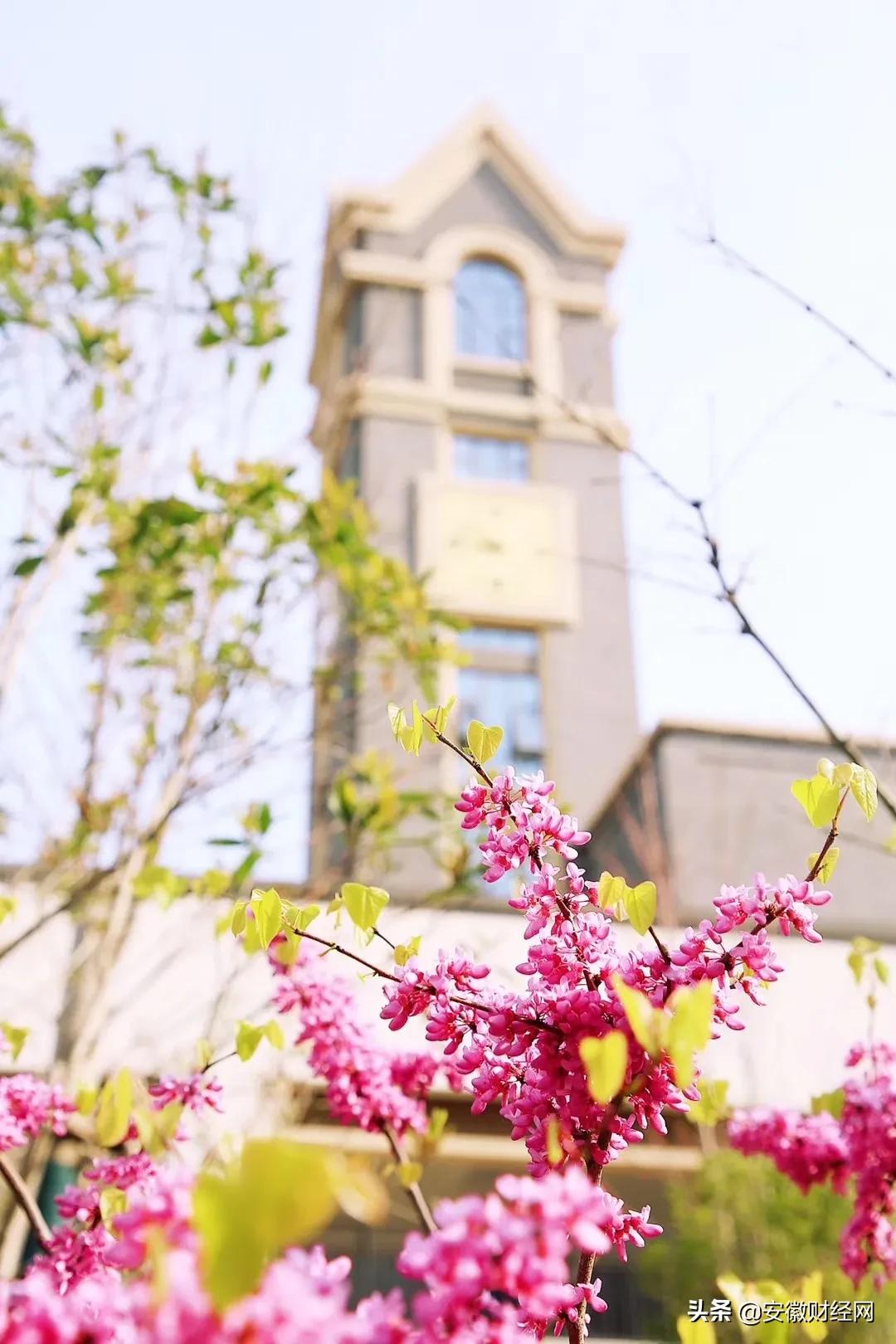 花都开好了现场完整版,花都开好了合唱合拍