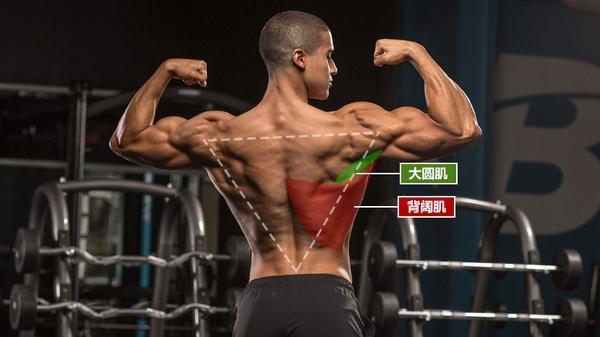 背部挺拔笔直怎么锻炼,背部挺拔身姿锻炼哑铃