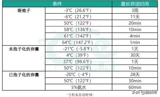 弓形虫的感染途径,什么是弓形虫病怎么预防