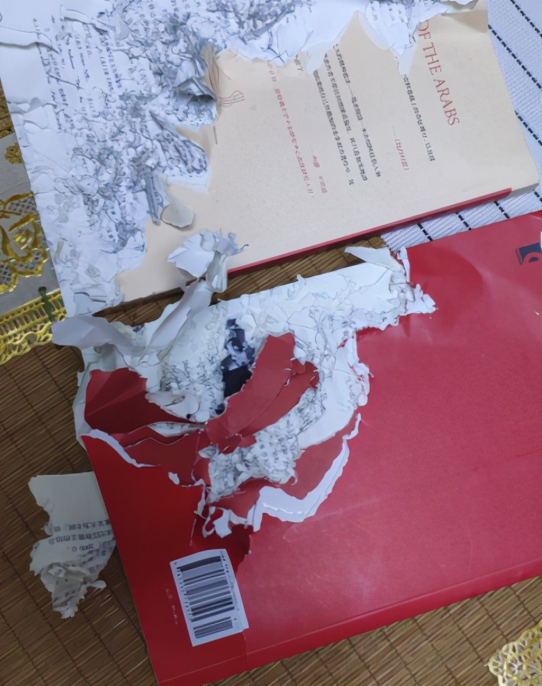 讲一下新手养土拨鼠的关注事项,不懂科学喂养仓鼠