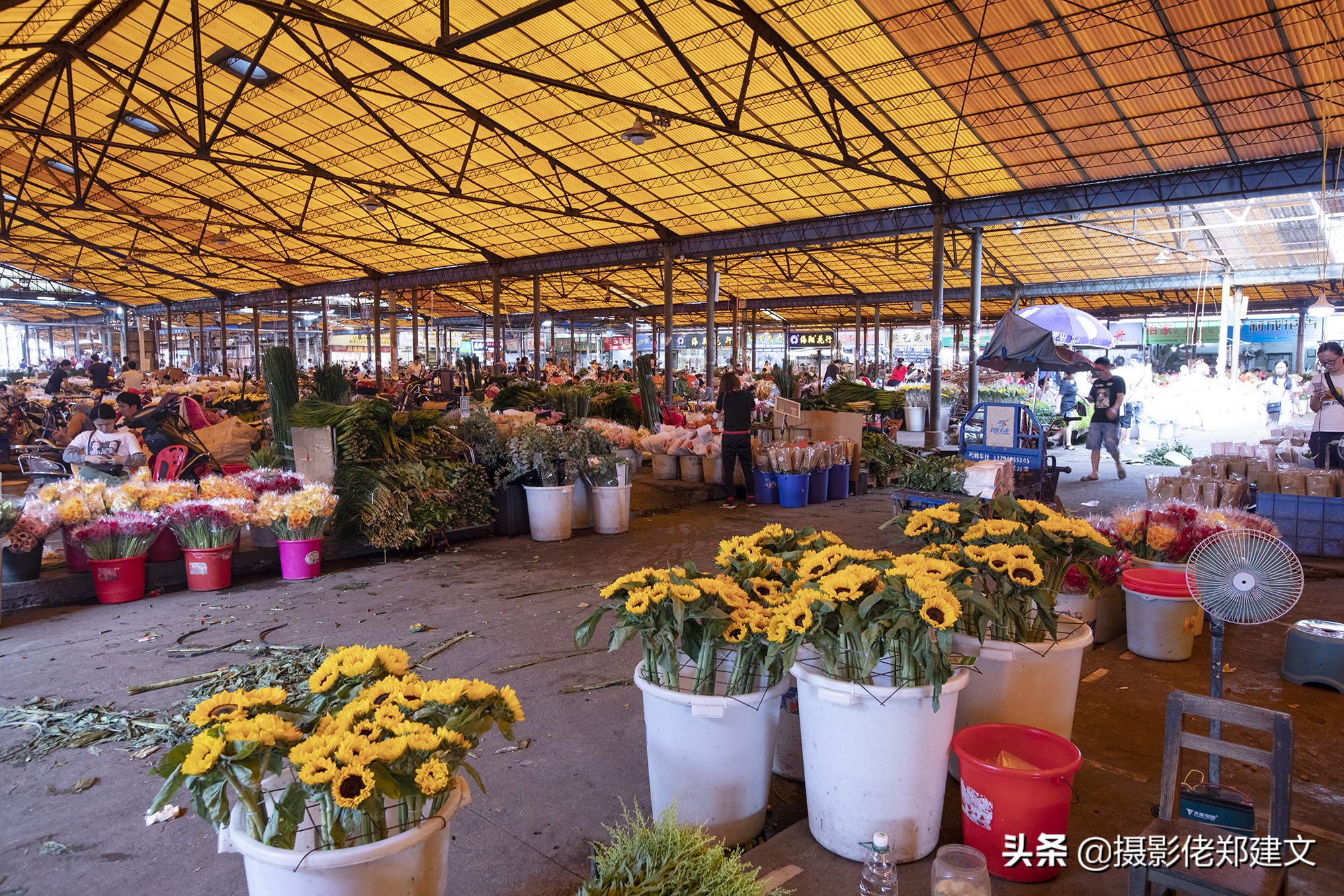 中国最大鲜花交易市场在哪座城市,南方最大的批发鲜花市场