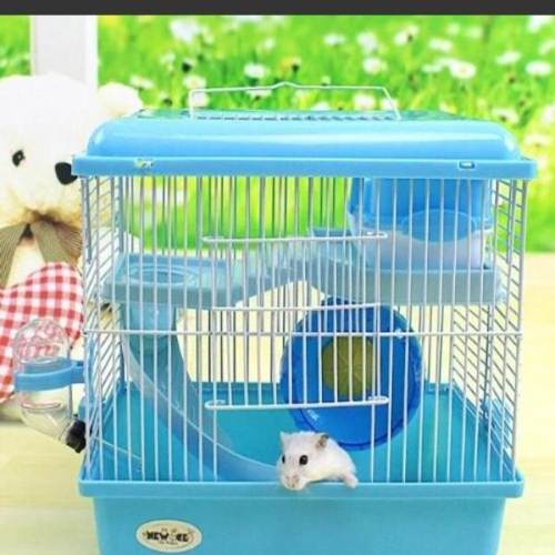 如何照顾仓鼠,仓鼠产后怎么照顾