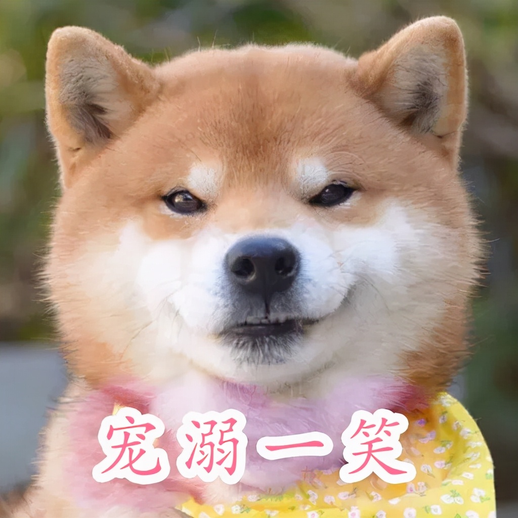 iphone坏了可否以旧换新,苹果手机坏了可以自己维修