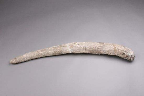 殷墟发现惊世的秘密,殷墟考古所发现最可怕的东西