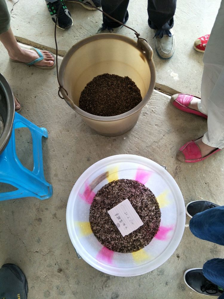 种地用的自制酵素,酵素种地效果怎么样