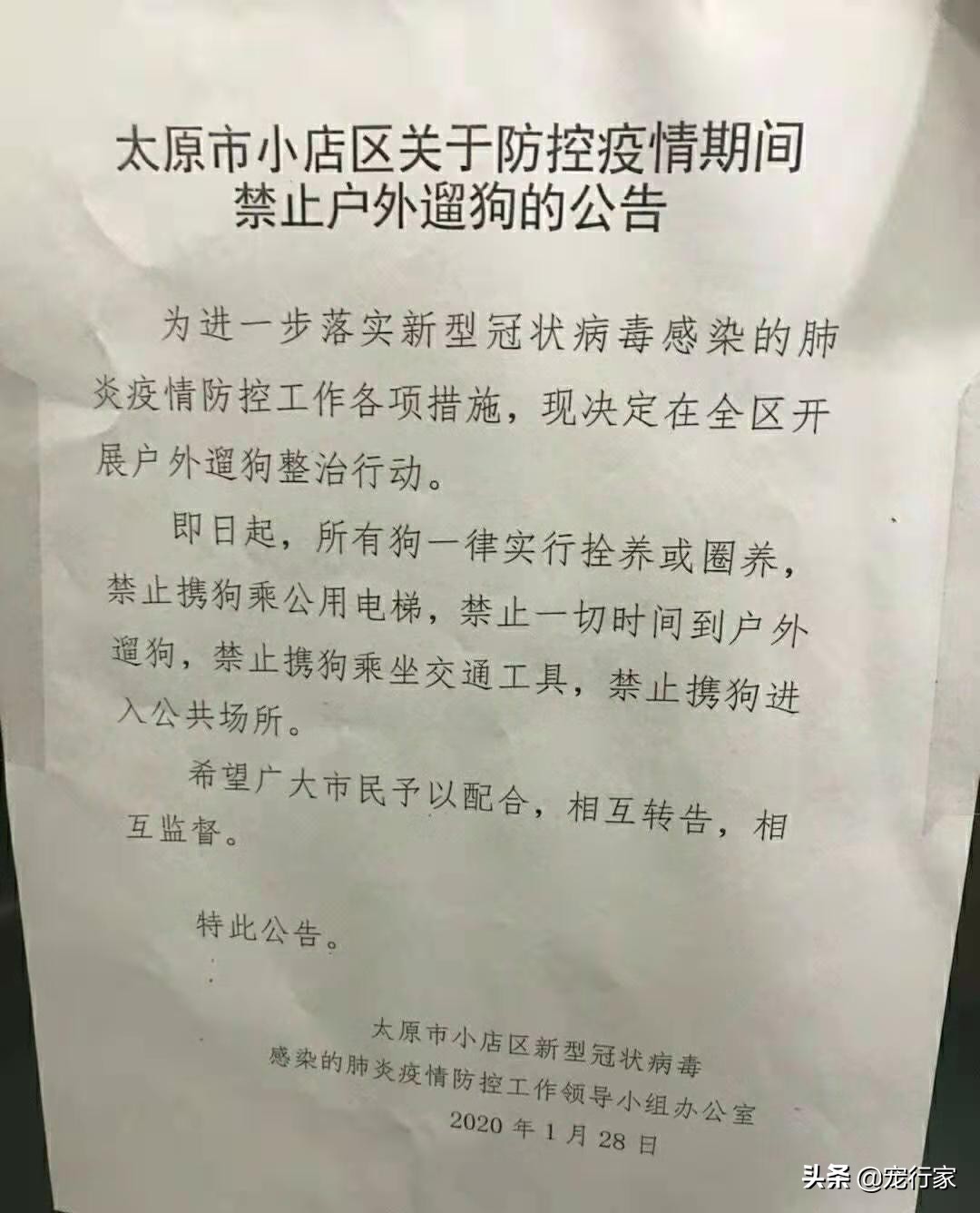 疫情期间多地禁止遛狗！狗在家不上厕所怎么办？无聊拆家怎么办？