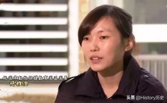 台湾给狗狗安乐死,台湾17岁狗安乐死