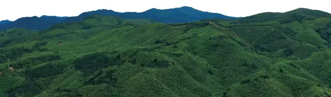 重阳登高观美景视频,重阳登高爬山视频