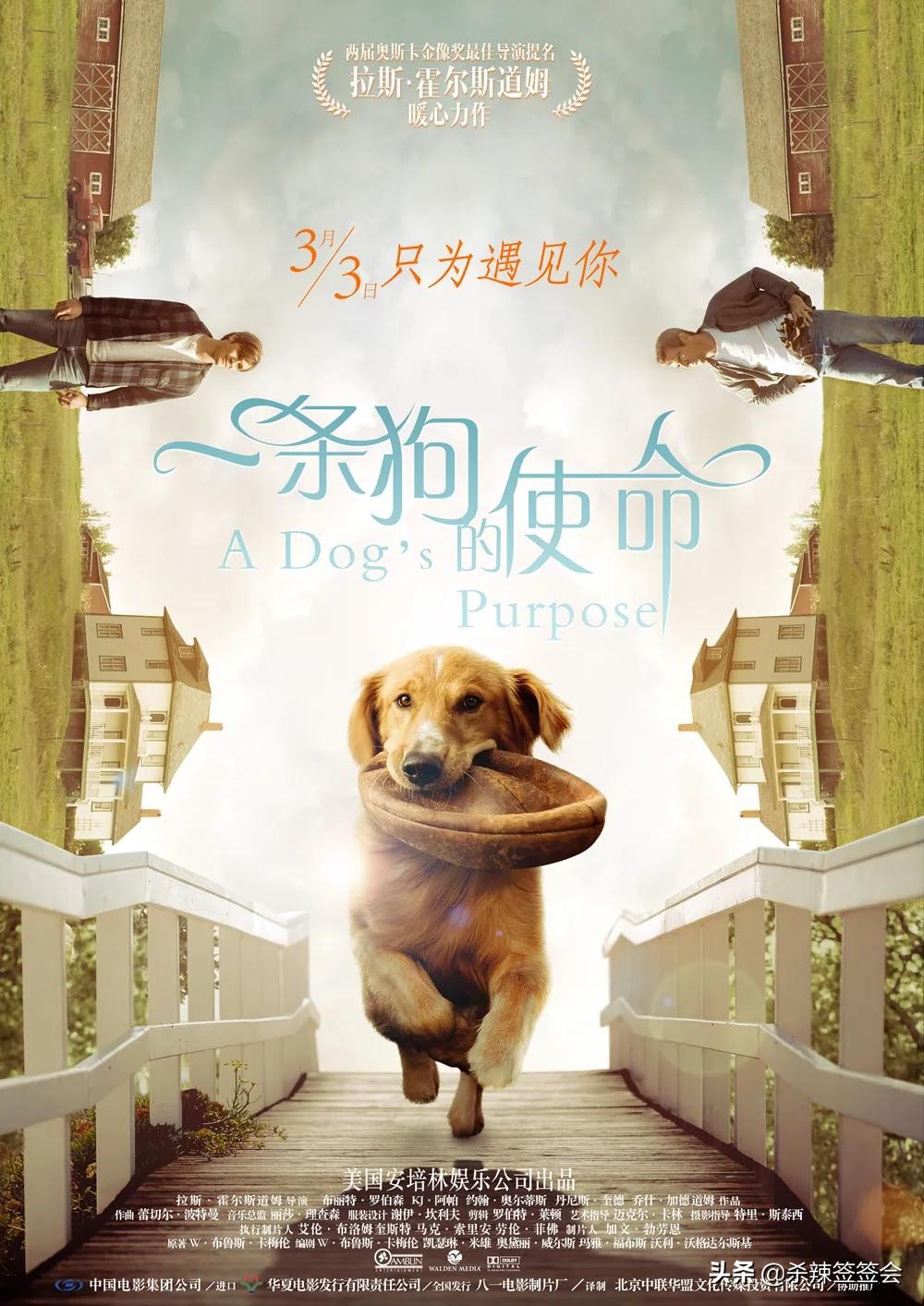 万达79套餐,南昌万达影城今日影讯