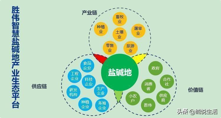 盐碱地养殖经丨母牛妊娠毒血症的防治措施