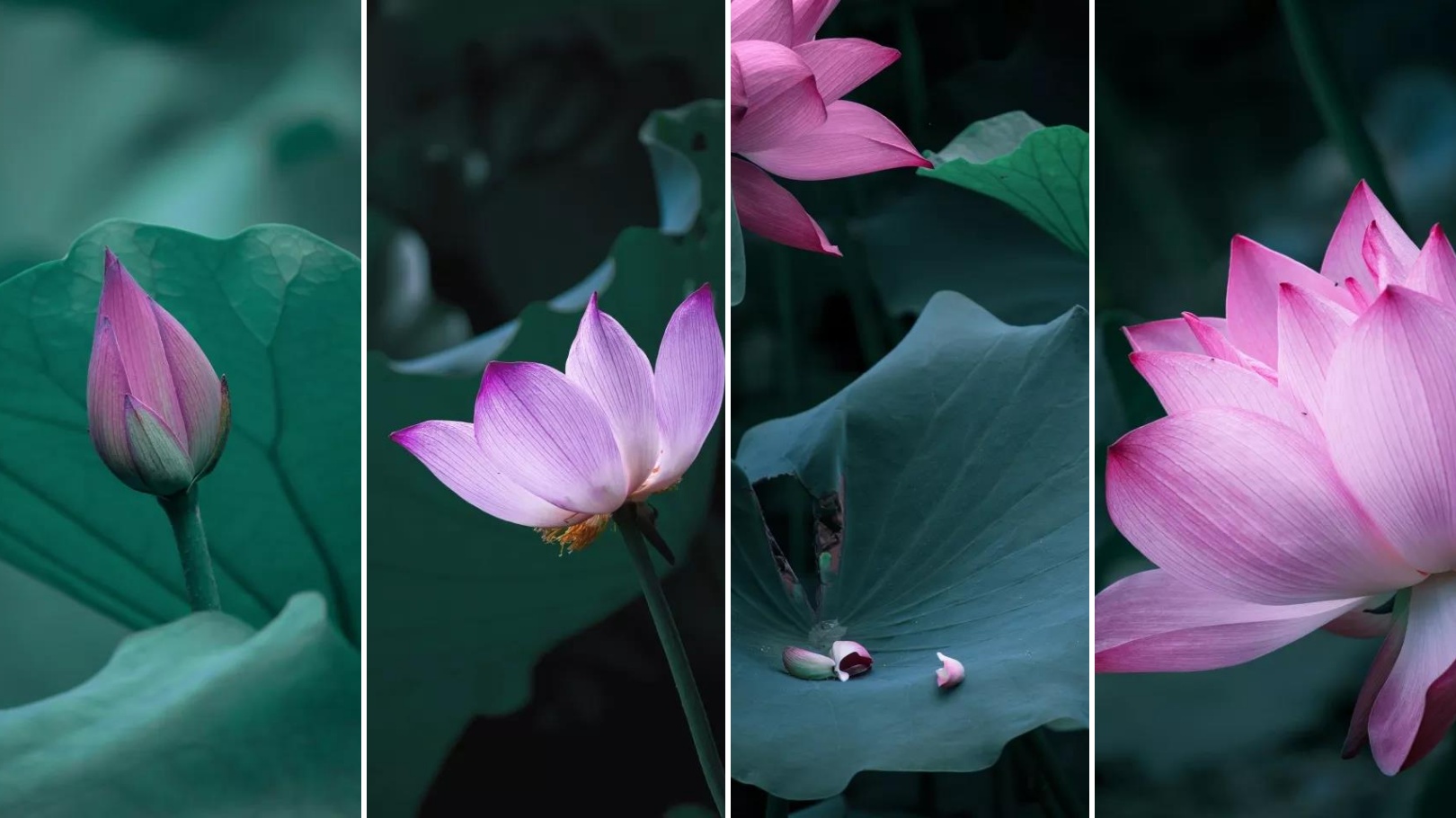 坐拥神仙颜值！原来，这就是中南大学的最美校花！