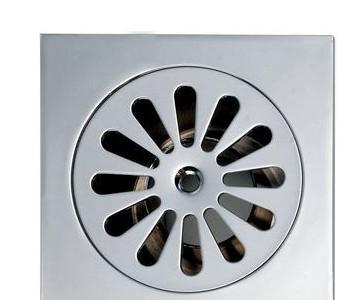 卫生间的飞蛾如何消灭,卫生间有小飞蛾子是怎么回事