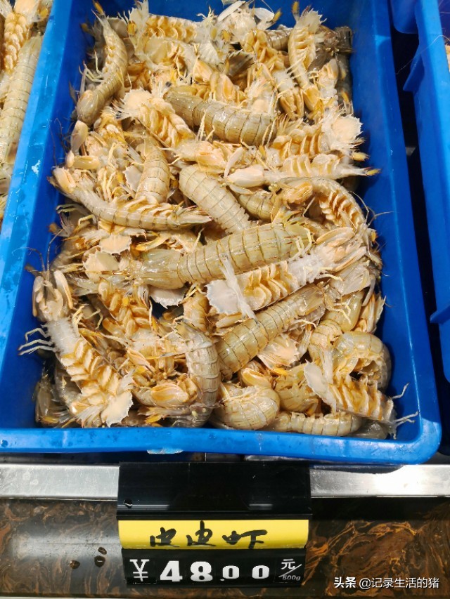 周末北京出发吃海鲜,北京自助游最好去哪儿吃海鲜