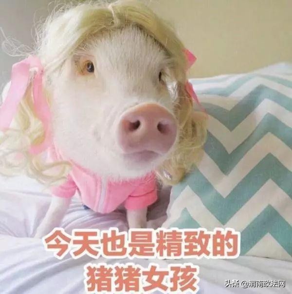 花了一万多纹眉,女子花18000元纹眉结果