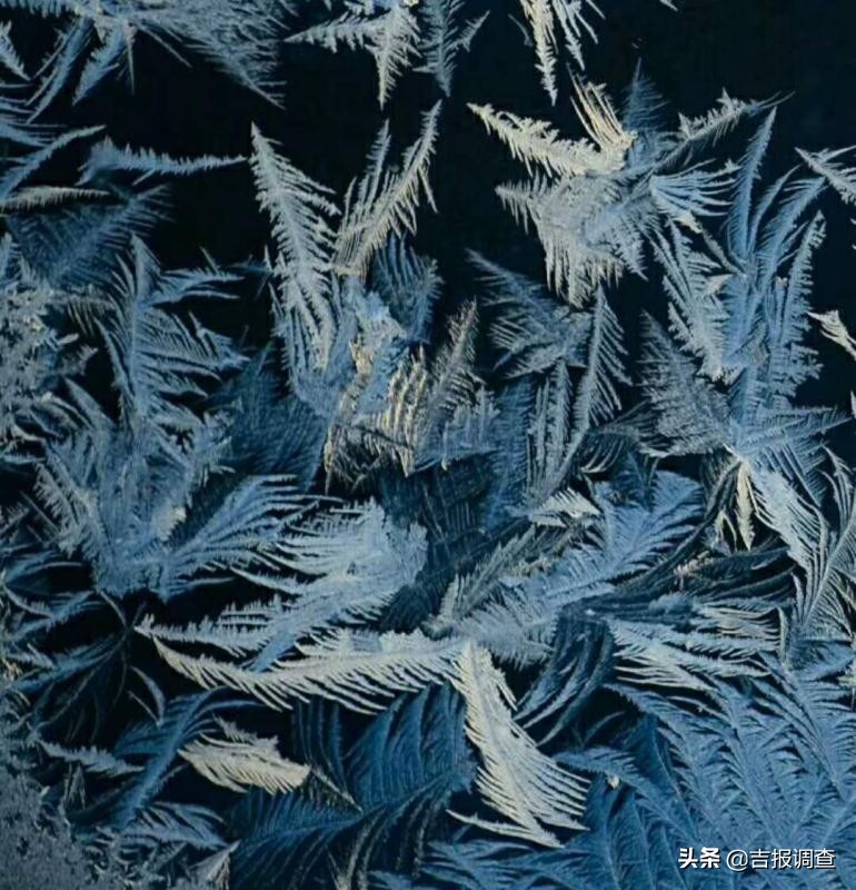 清晨玻璃窗上结满了霜花,唐古拉玻璃窗上的霜花