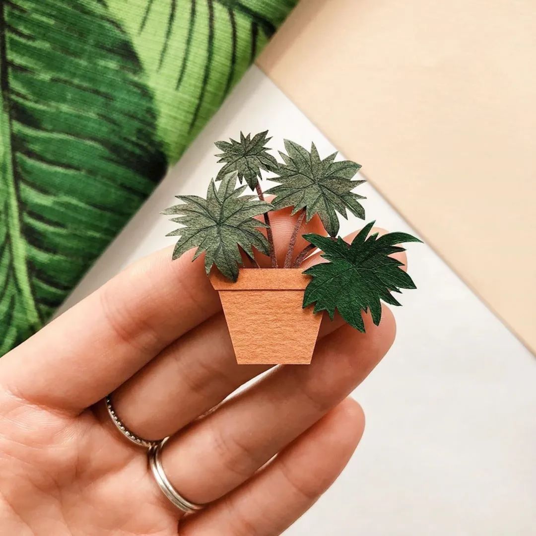 她创作的微型纸花，比鲜花还要贵上几百倍，网友​：好看但不值