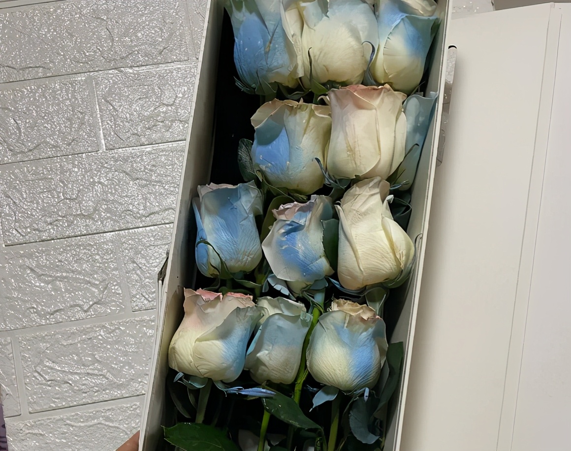 七夕玫瑰价格涨十倍,七夕玫瑰卖多少钱合适