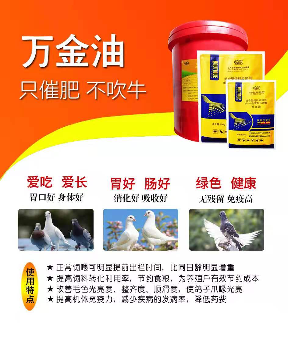 鸽子得了嗉囊炎多久死亡,鸽子嗉囊炎可以喂玉米吗