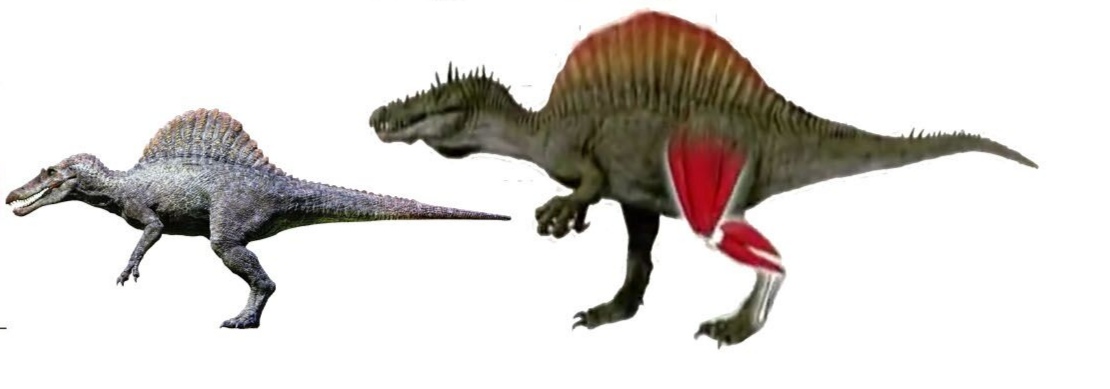 《侏罗纪公园3》棘龙打败霸王龙：主角光环实力碾压？