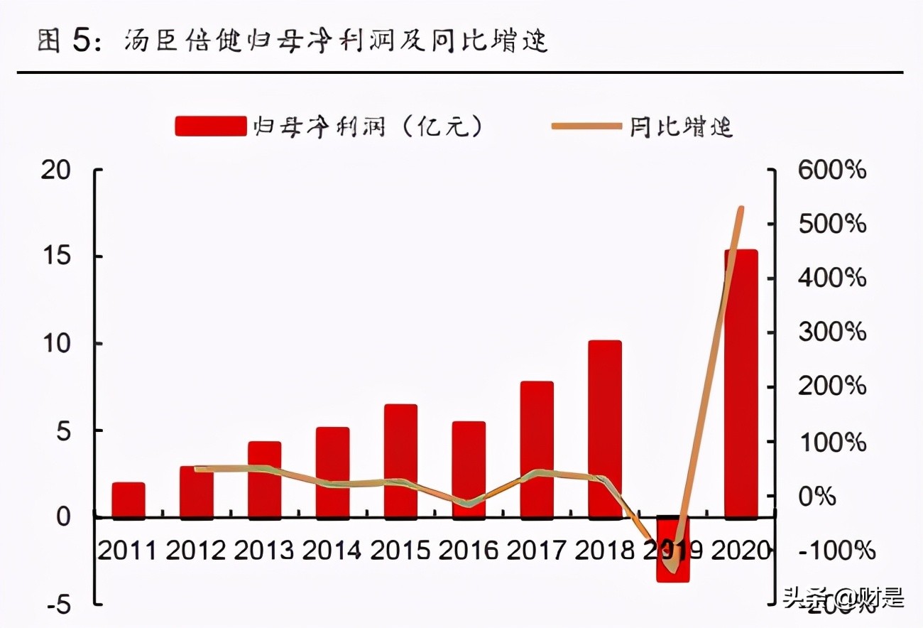 汤臣倍健行业龙头,汤臣倍健未来十年成长性