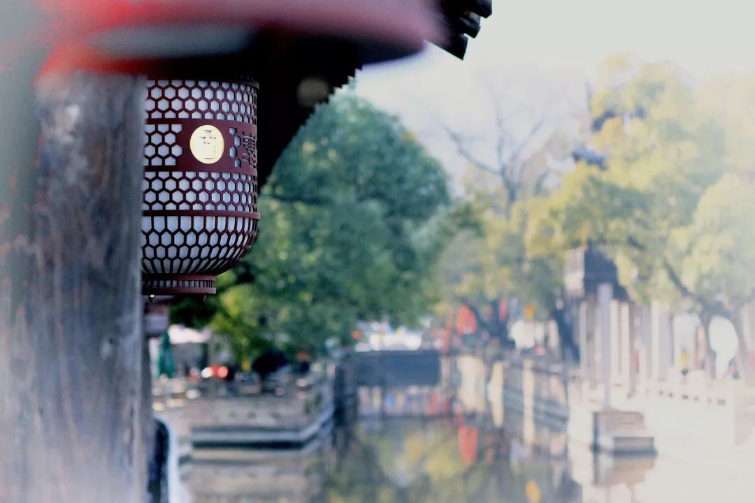 世界最美赏樱地,武汉是全球公认的三大赏樱胜地