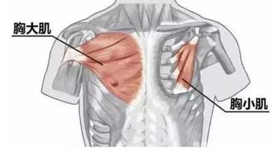 大人小孩含胸驼背怎么办？运动训练师教你一套简单易学动作