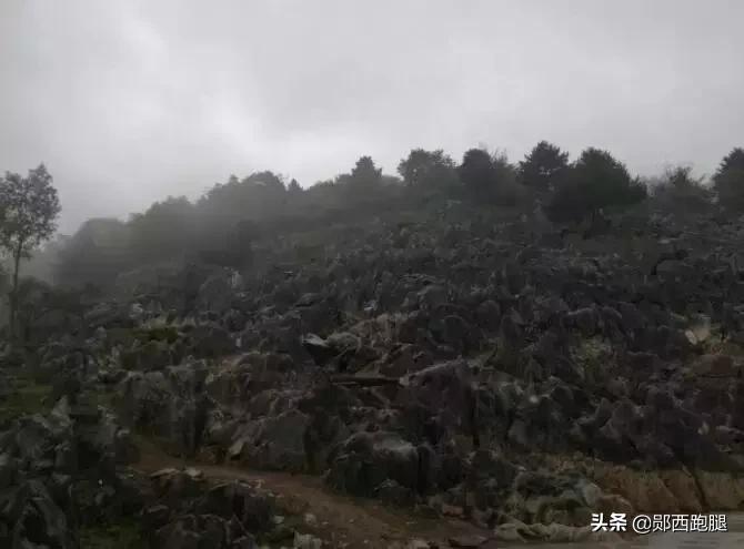 “爱国情奋斗者”之大山“愚公”魏登殿绝壁凿富路奋斗谱新篇